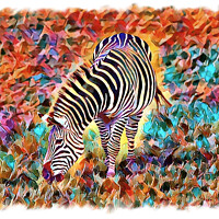 Buy canvas prints of Abstract Zebra (Digital Art Version) by Kevin Maughan