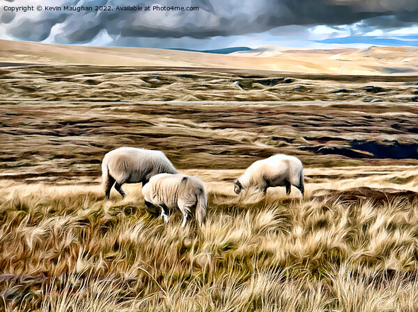 Majestic Sheep Roaming the Pennine Way Picture Board by Kevin Maughan