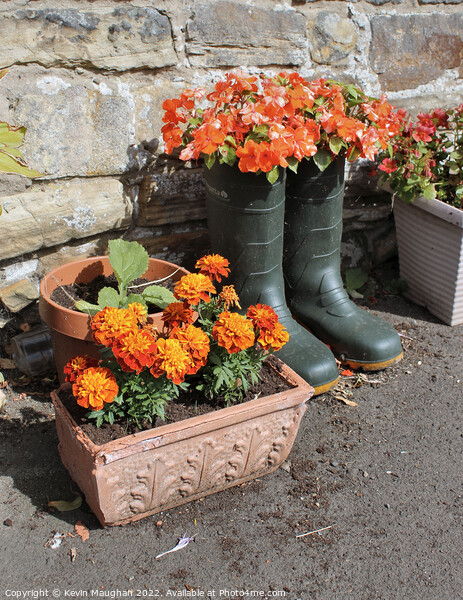 Wellingtons as Flower Pots Picture Board by Kevin Maughan