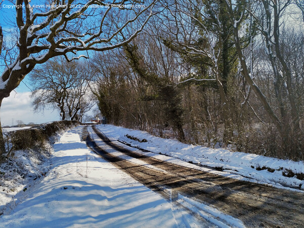 A Snowy Lane Near Morpeth Picture Board by Kevin Maughan