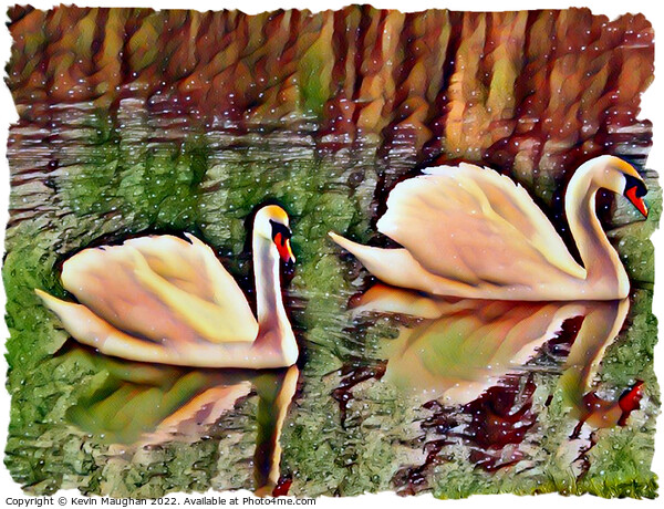 Swans On The Lake 1 (Digital Art) Picture Board by Kevin Maughan
