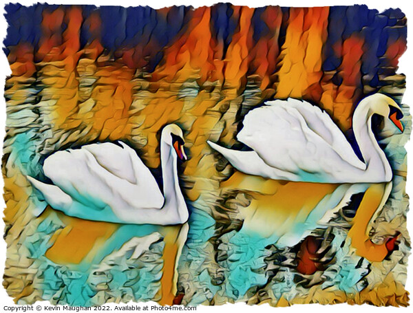 Swans On The Lake 3 (Digital Art) Picture Board by Kevin Maughan