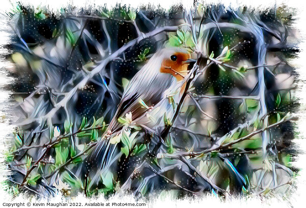 Robin In The Tree (Digital Art) Picture Board by Kevin Maughan