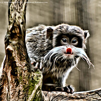 Buy canvas prints of The Emperor Tamarin (Digital Art) by Kevin Maughan