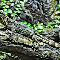 Buy canvas prints of Mystical Chinese Crocodile Lizard by Kevin Maughan