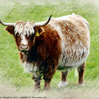 Buy canvas prints of Highland Cow (Pastel Digital Art) by Kevin Maughan
