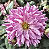 Buy canvas prints of Vibrant Pink Dahlia (Digital Art) by Kevin Maughan
