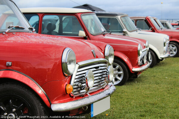 Mini's All In A Row Picture Board by Kevin Maughan