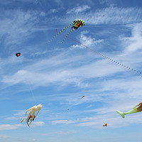 Buy canvas prints of Kite Flying Display Festival At Whitley Bay North  by Kevin Maughan