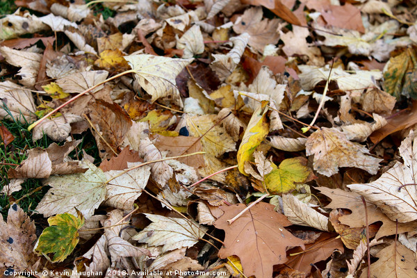 Autumn Leaves On The Ground Picture Board by Kevin Maughan