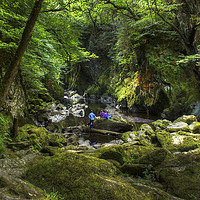 Buy canvas prints of The Fairy Glen by Philip Brown