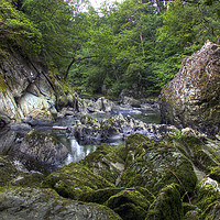 Buy canvas prints of Rocky stream in the Fairy Glenn, Wales by Philip Brown