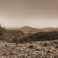 Buy canvas prints of The Lonely Tree - Panorama - Sepia Version by Philip Brown