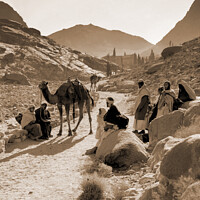 Buy canvas prints of 100 Year old Egyptian Photo - Bedouins in Desert. by Philip Brown