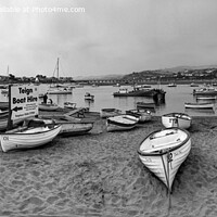 Buy canvas prints of Teign River Beach 2, B&W by Philip Brown