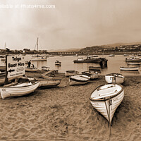 Buy canvas prints of Teign River Beach 2, Sepia by Philip Brown