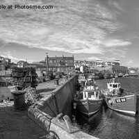 Buy canvas prints of Fishing Boats at Seahouses Harbour - B&W Panorama by Philip Brown