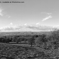 Buy canvas prints of Shropshire Autumn Landscape, B&W Panorama by Philip Brown
