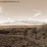 Buy canvas prints of Shropshire Autumn Landscape, Sepia Panorama by Philip Brown