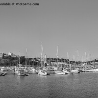 Buy canvas prints of Torquay Harbor No 2 in Devon, B&W Panorama by Philip Brown