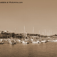 Buy canvas prints of Torquay Harbor No 2 in Devon, Sepia Panorama by Philip Brown