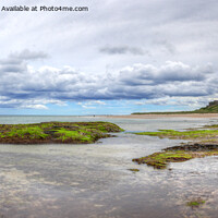 Buy canvas prints of Bamburgh Castle from the Beach, Panorama by Philip Brown