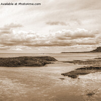 Buy canvas prints of Bamburgh Castle from the Beach, Sepia Panorama by Philip Brown