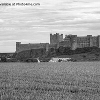 Buy canvas prints of Bamburgh Castle in Northumberland, B&W Panorama by Philip Brown