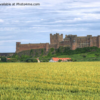 Buy canvas prints of Bamburgh Castle in Northumberland, Panorama by Philip Brown