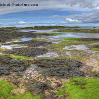 Buy canvas prints of Coastal Colours near Bamburgh in Northumberland, Panorama by Philip Brown