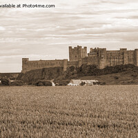 Buy canvas prints of Bamburgh Castle in Northumberland, Sepia Panorama by Philip Brown