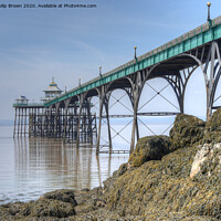 Buy canvas prints of Clevedon Pier, 1869, Close View, UK, Colour Version by Philip Brown