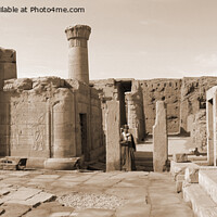 Buy canvas prints of temple of Horus in Egypt by Philip Brown