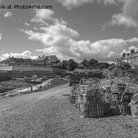 Buy canvas prints of Craster Harbour in Northumberland. Panorama by Philip Brown