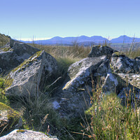 Buy canvas prints of The Rhinogs Mountain Range, North Wales, Crop by Philip Brown