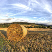 Buy canvas prints of Bail of Hay in Field, Aston Eyre by Philip Brown