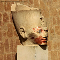 Buy canvas prints of Sculpture in Hatshepsuts temple at Deir el-Bahri,  by Philip Brown