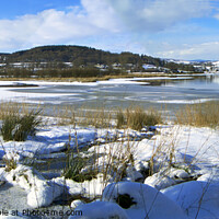 Buy canvas prints of Snow on Lake Bala in Wales, UK - Panoramic by Philip Brown
