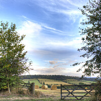 Buy canvas prints of A Shropshire farming View by Philip Brown