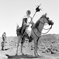 Buy canvas prints of Bedouin man mounted on horse, Egypt, 1898 by Philip Brown