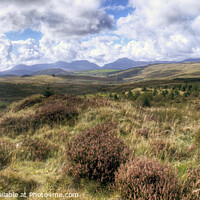 Buy canvas prints of Looking Acroos to The Rhinogs Mountain Range, Nort by Philip Brown