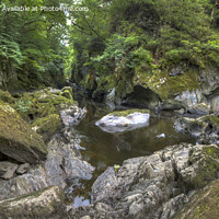 Buy canvas prints of Rocky stream in the Fairy Glenn, Wales by Philip Brown