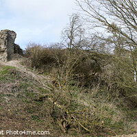 Buy canvas prints of Wigmore Castle - Panorama by Philip Brown