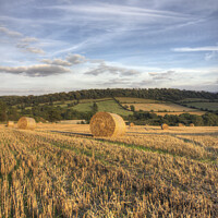 Buy canvas prints of Bails of Hay in field, Aston Eyre by Philip Brown