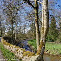 Buy canvas prints of River Hamps over an Old Wall in Staffordshire,  by Philip Brown