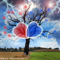 Buy canvas prints of The Love Heart Tree - Panorama by Philip Brown