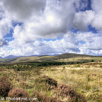 Buy canvas prints of Acroos to The Rhinogs Mountain Range, Wales by Philip Brown