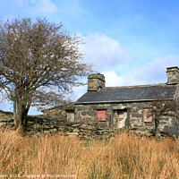 Buy canvas prints of Derelict Cottage, Wales by Philip Brown