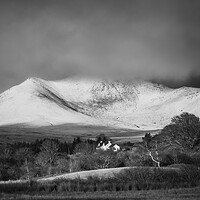 Buy canvas prints of Wintery Beinn Nuis Mono by David Brookens