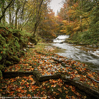 Buy canvas prints of Autumn at Clauchan Water by David Brookens